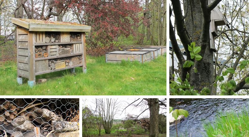 En hållbar utemiljö med plats för insekter