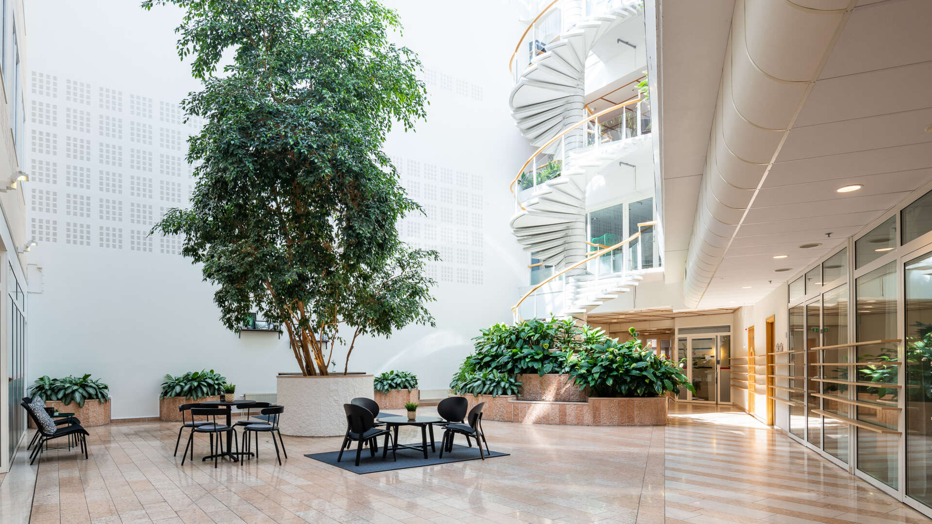 Ljust atrium med hög takhöjd som ger mycket ljusinsläpp.