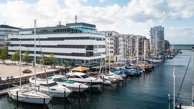 Dockplatsen 1 och den fantastiska hamnen